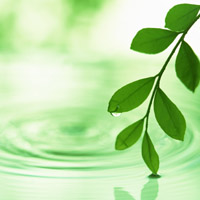 アデランス 梅田院についての詳細はこちら【体験レポート】